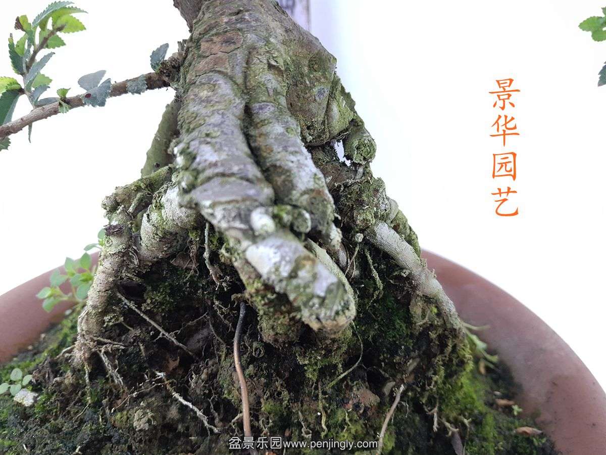 P51110-133412_.jpg