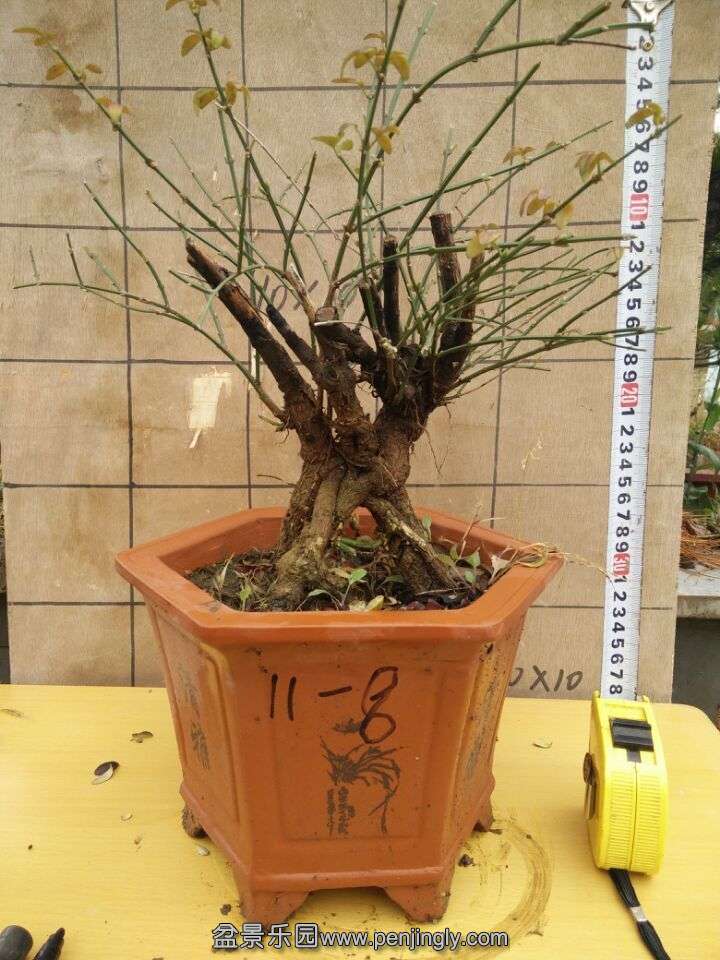 QQͼƬ20151114111356.jpg