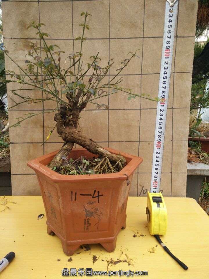QQͼƬ20151114111228.jpg