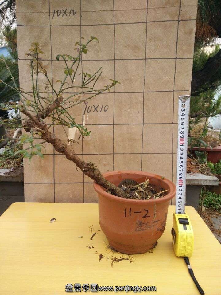QQͼƬ20151114111017.jpg