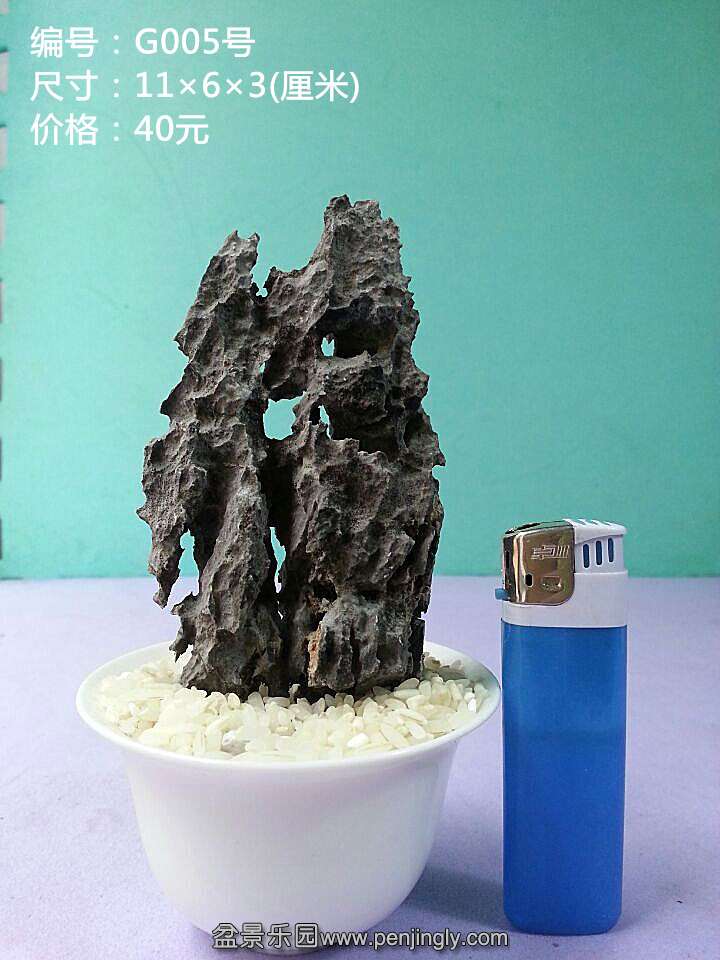 g005.jpg