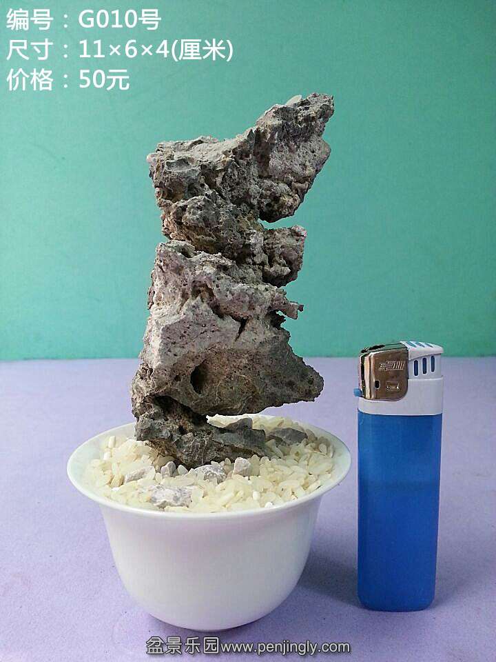 g010.jpg