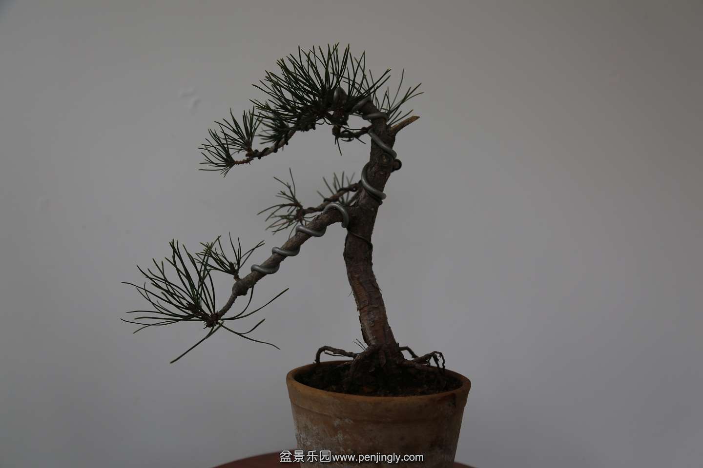 2U0A3549.JPG