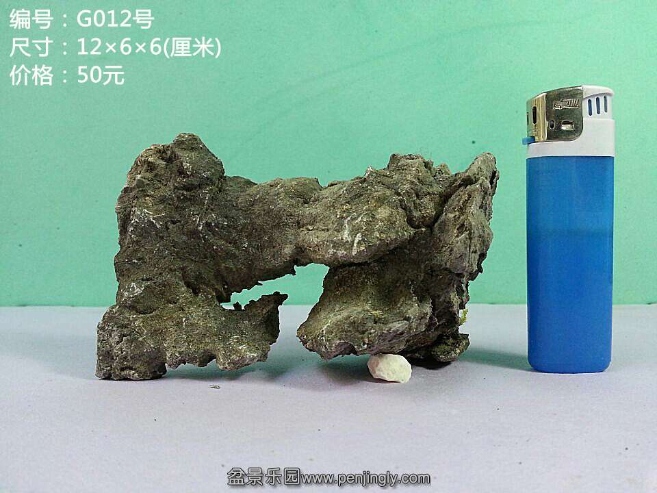 g012.jpg