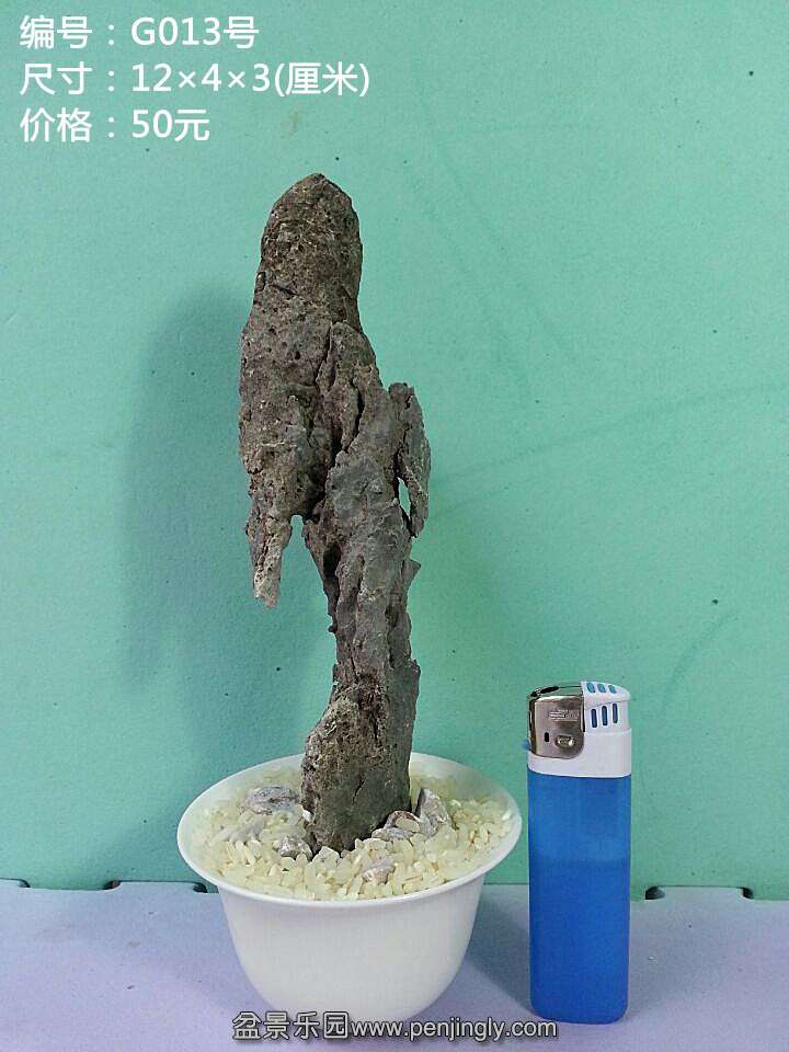 g013.jpg