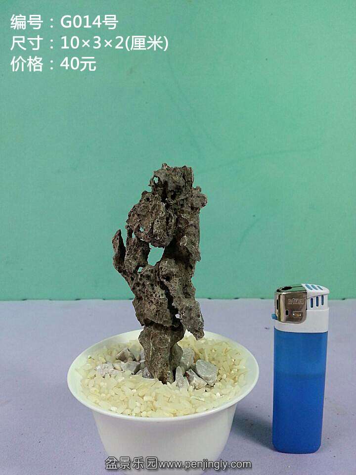 g014.jpg