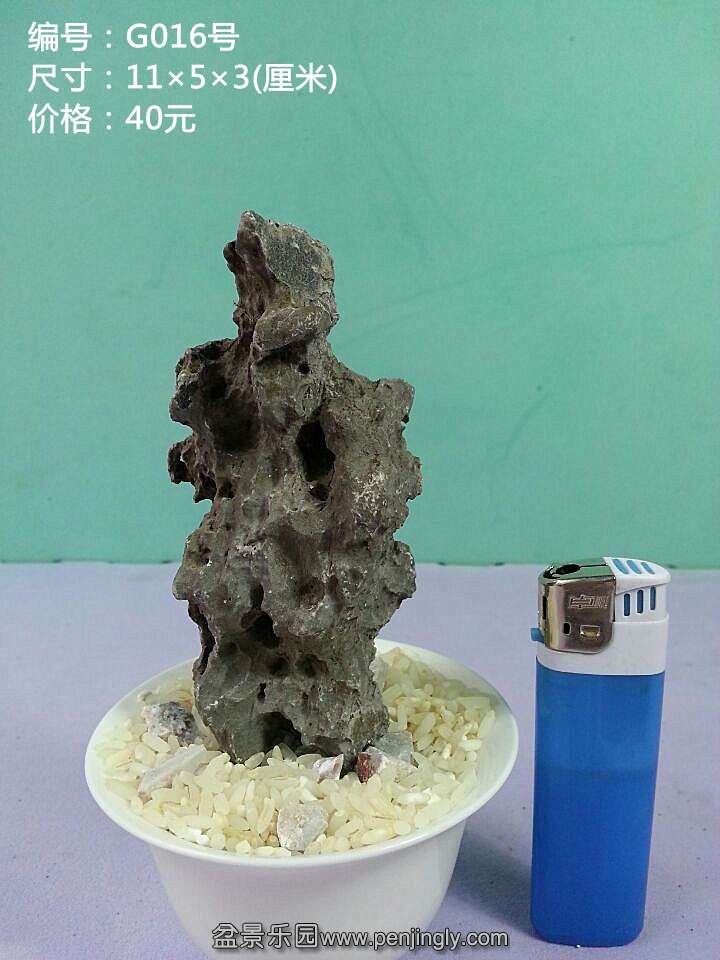 g016.jpg