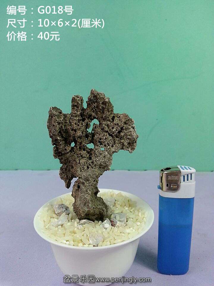 g018.jpg