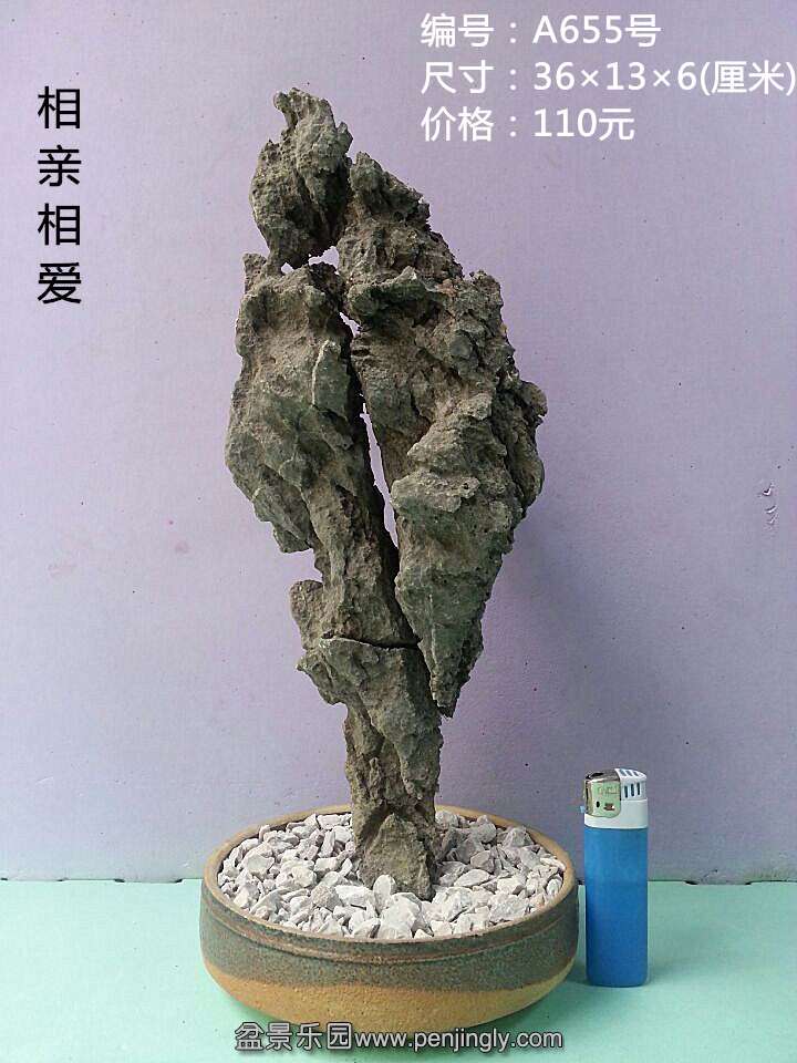 a655.jpg