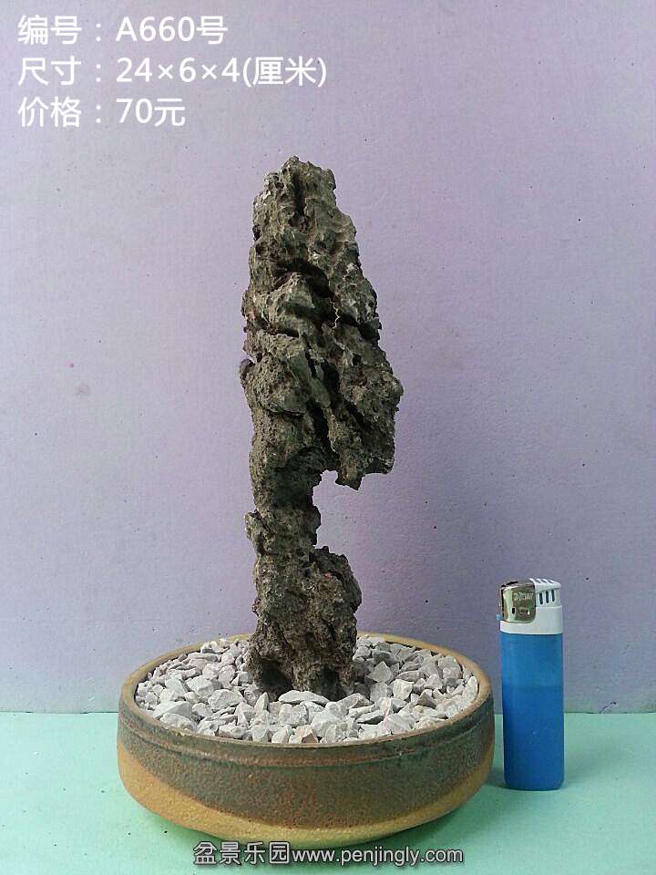 a660.jpg