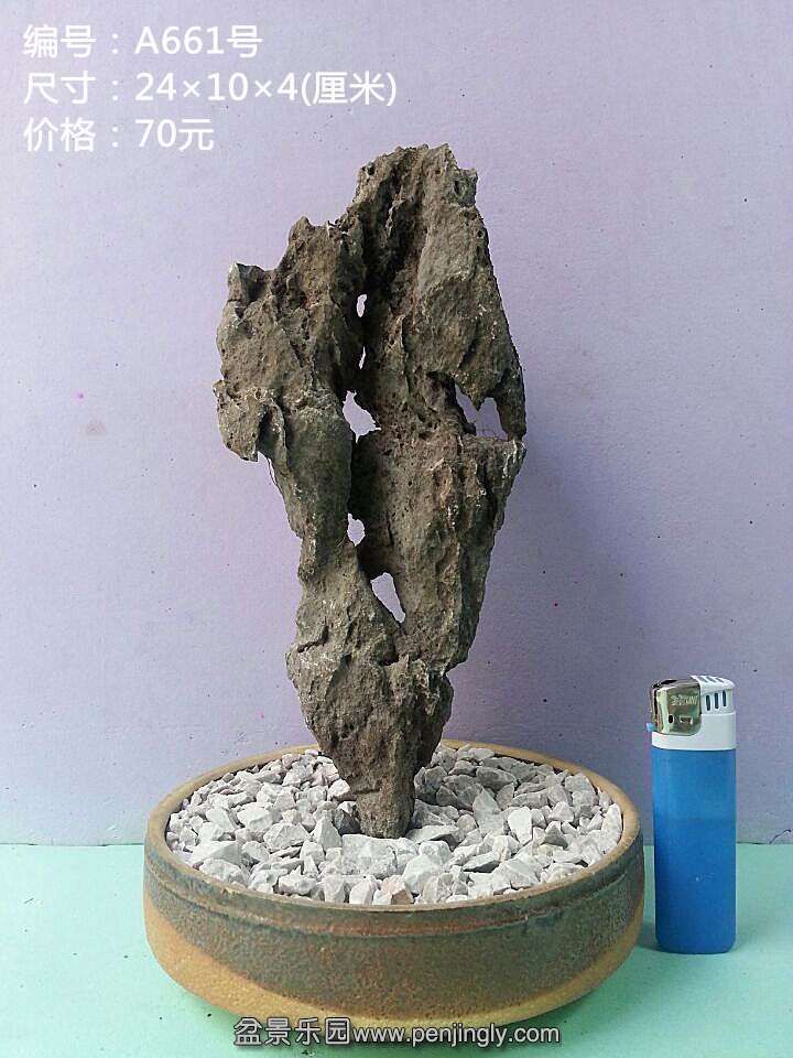 a661.jpg