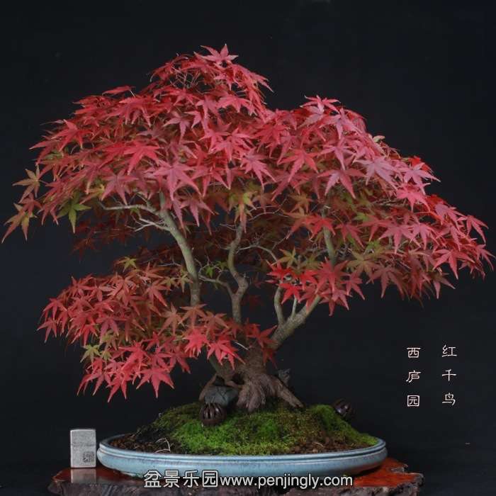 2015111701.jpg