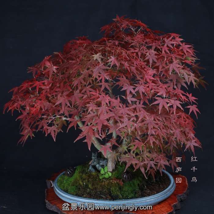 2015111705.jpg