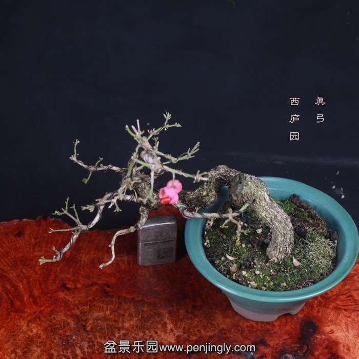 2015111713.jpg