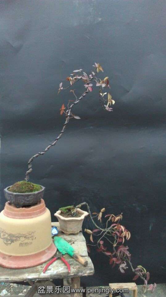 QQͼƬ20151118201726.jpg
