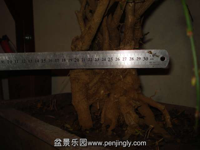 DSC01335.JPG