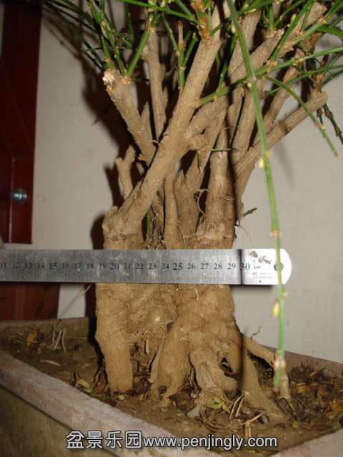 DSC01336.JPG