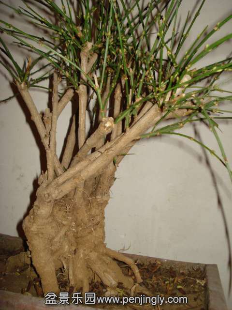 DSC01344.JPG