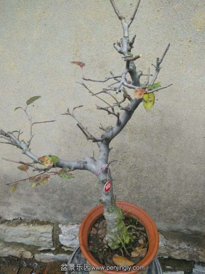 QQͼƬ20151120085843.jpg