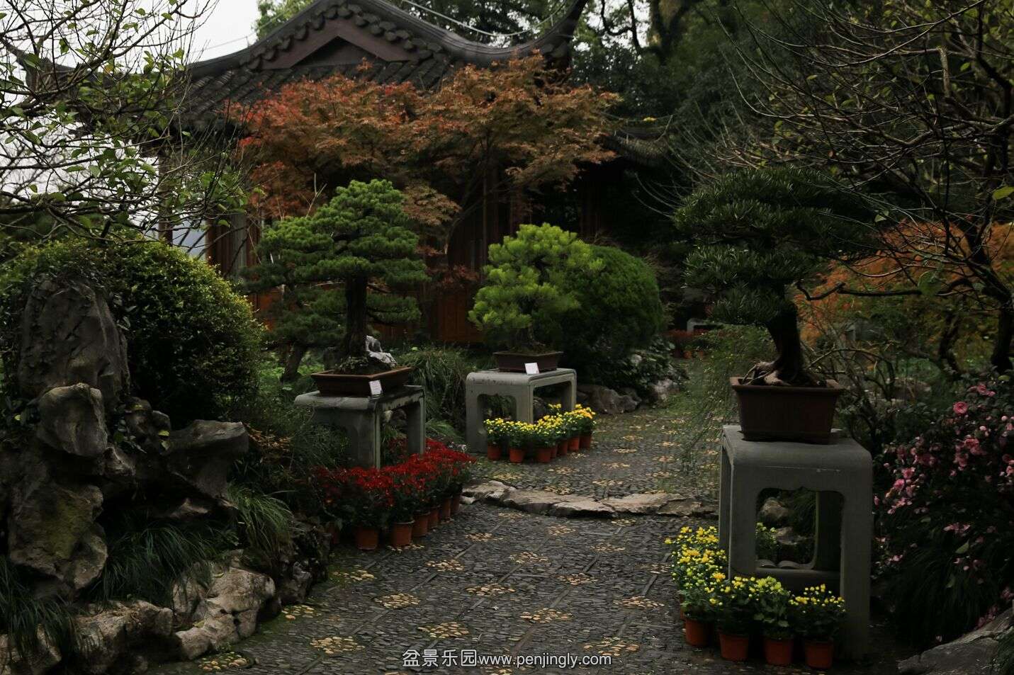 QQͼƬ20151120130317.jpg