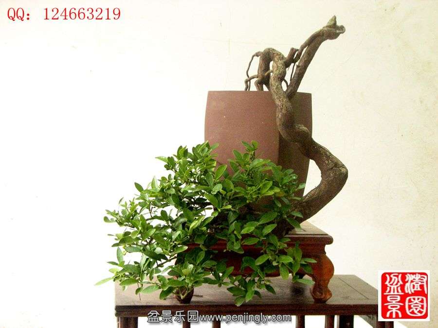 IMG_1880__.jpg