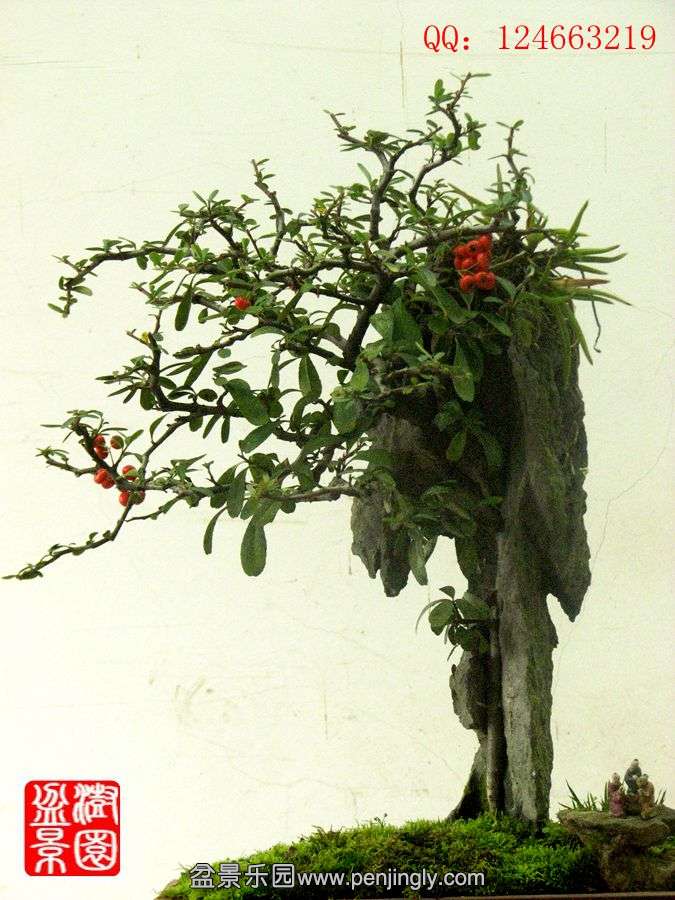 IMG_1907__.jpg