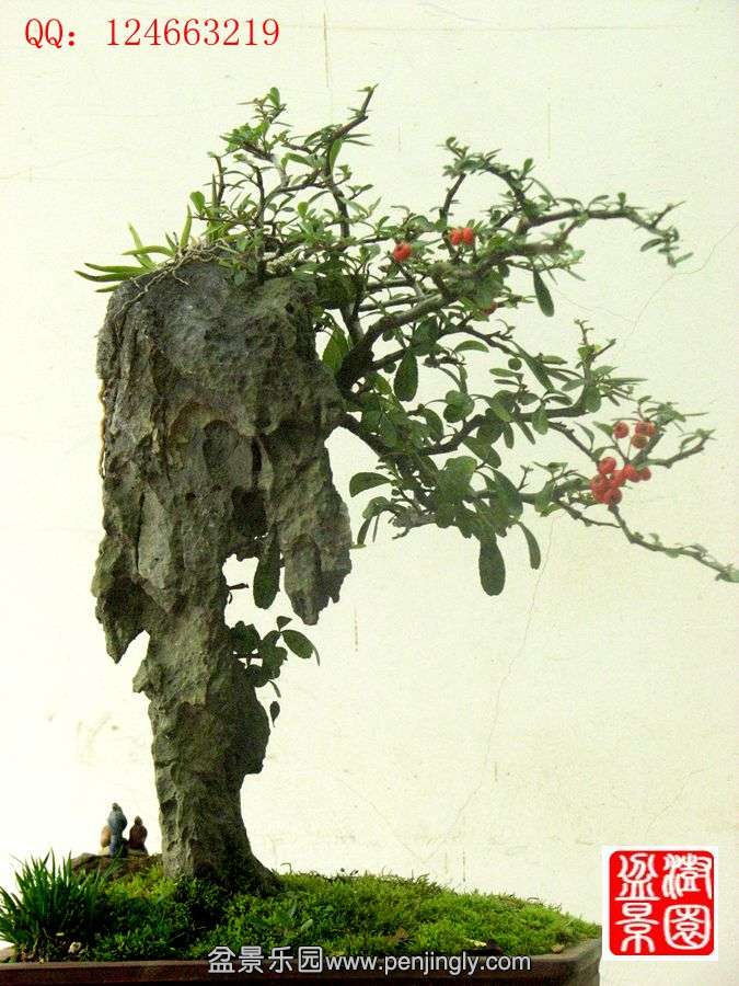 IMG_1909__.jpg