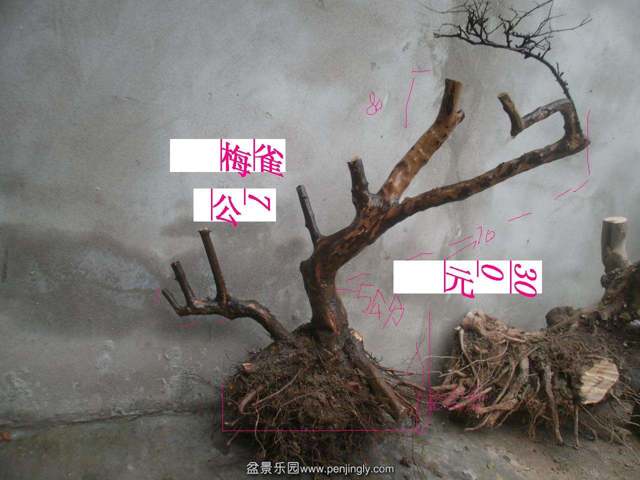 P1010002.JPG