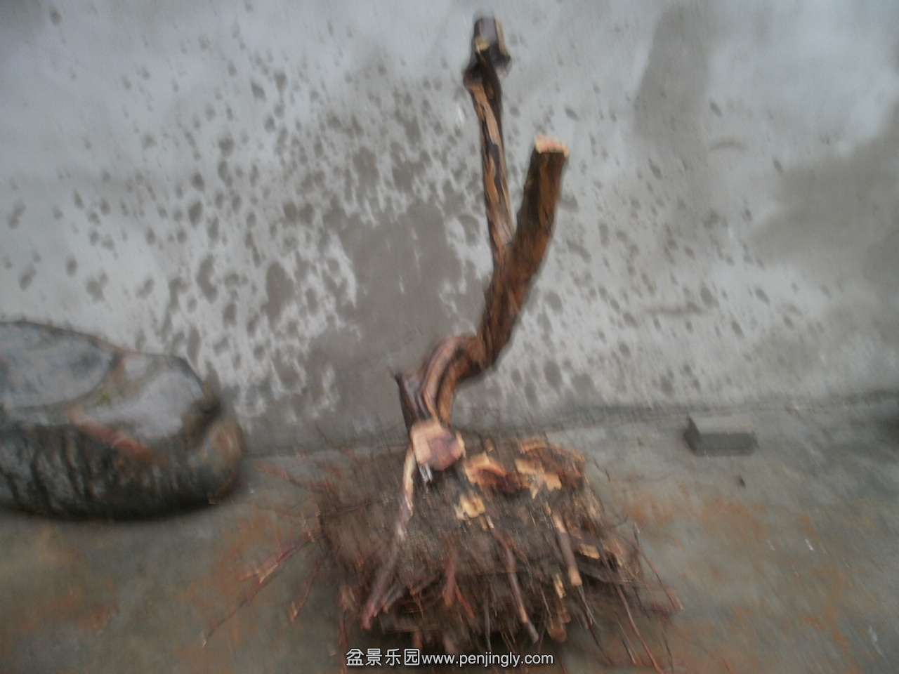 P1010007.JPG