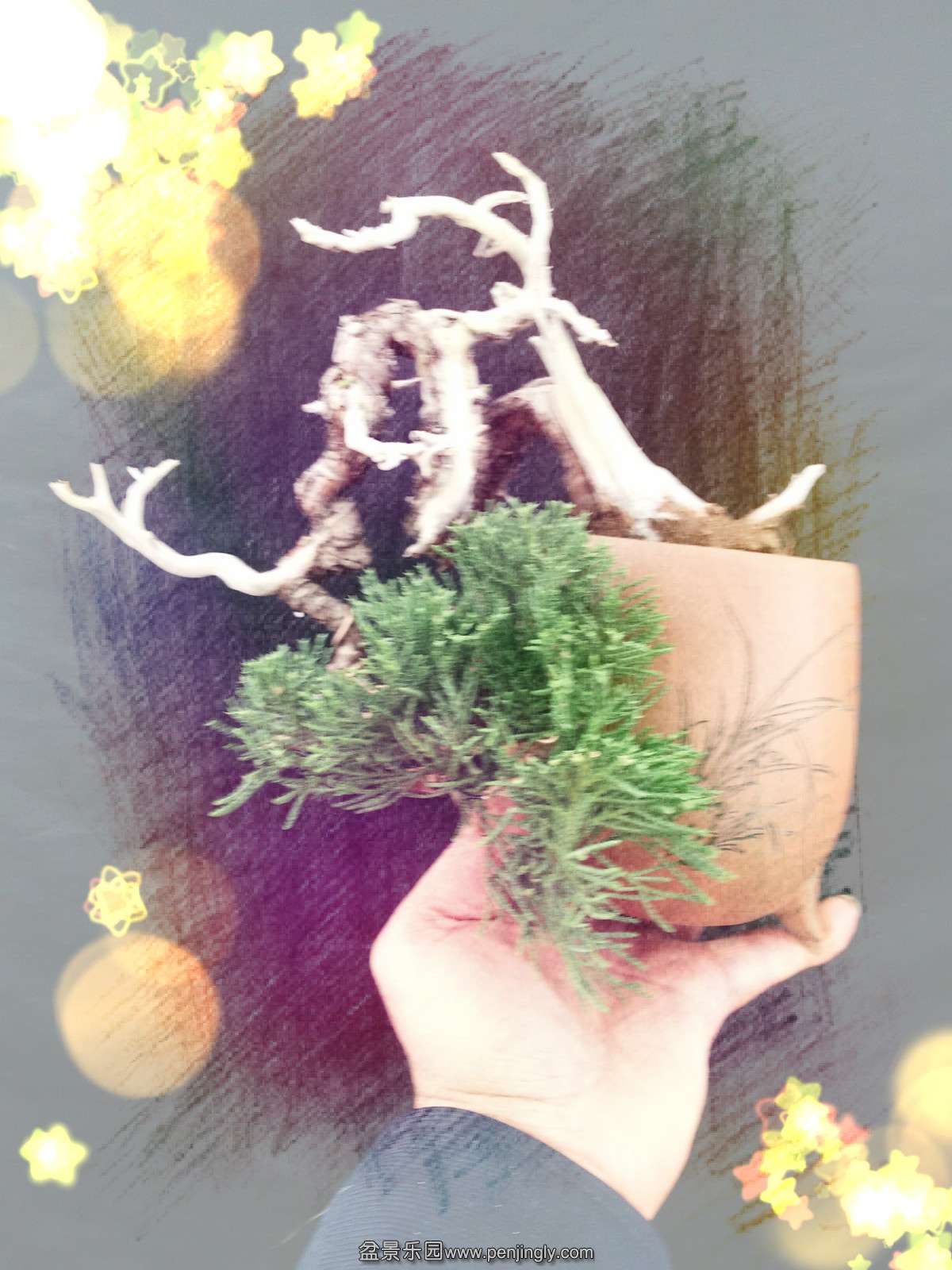 QQͼƬ20151120201922_meitu_3.jpg