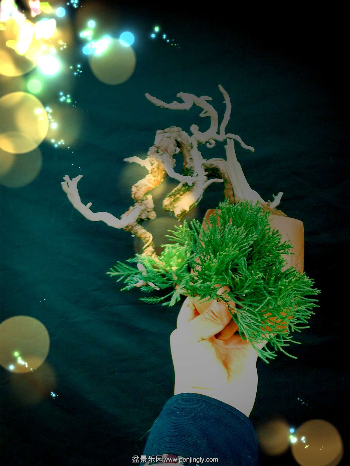 QQͼƬ20151120201938_meitu_2.jpg