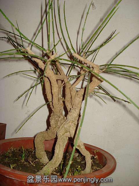 DSC01360.JPG
