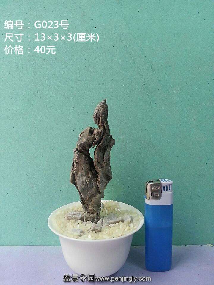 g023.jpg
