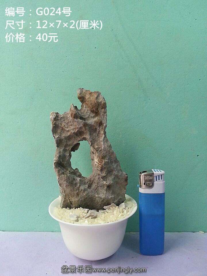 g024.jpg