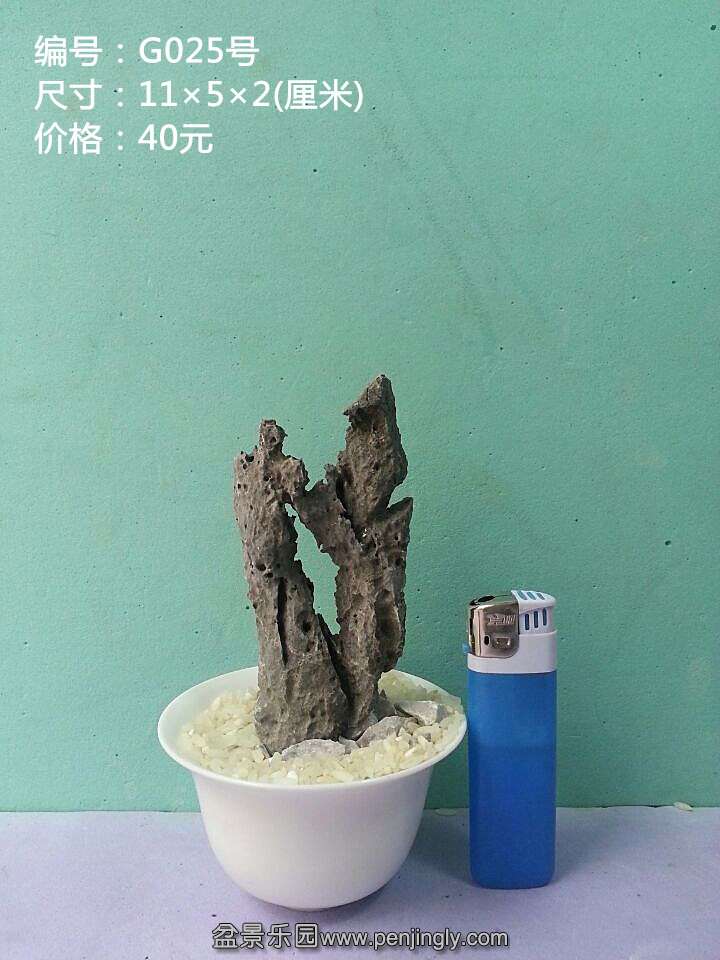 g025.jpg