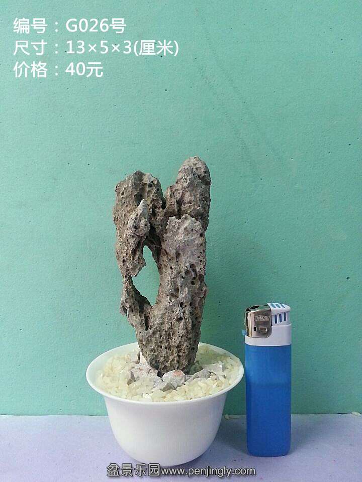 g026.jpg