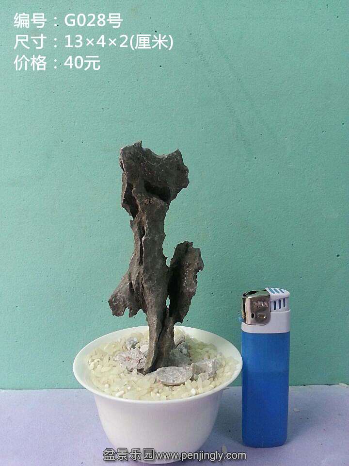 g028.jpg