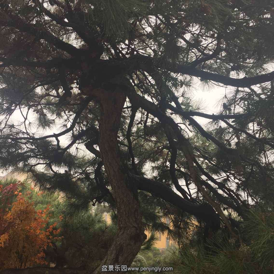 9F0954D950F5BAEFABD67F4F38A62B08.png