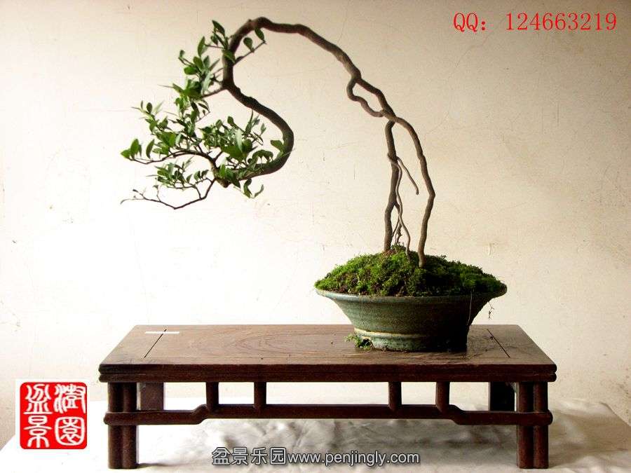 IMG_1974__.jpg