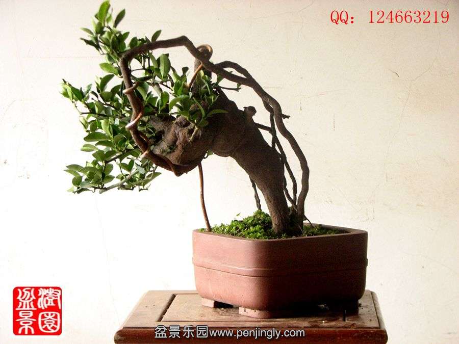 IMG_2002__.jpg