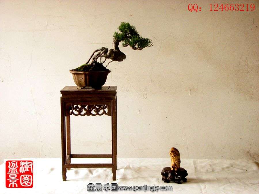 IMG_2014__.jpg
