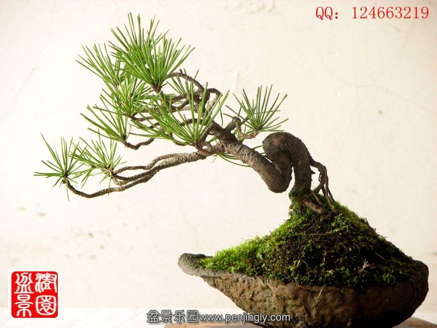 IMG_2028__.jpg