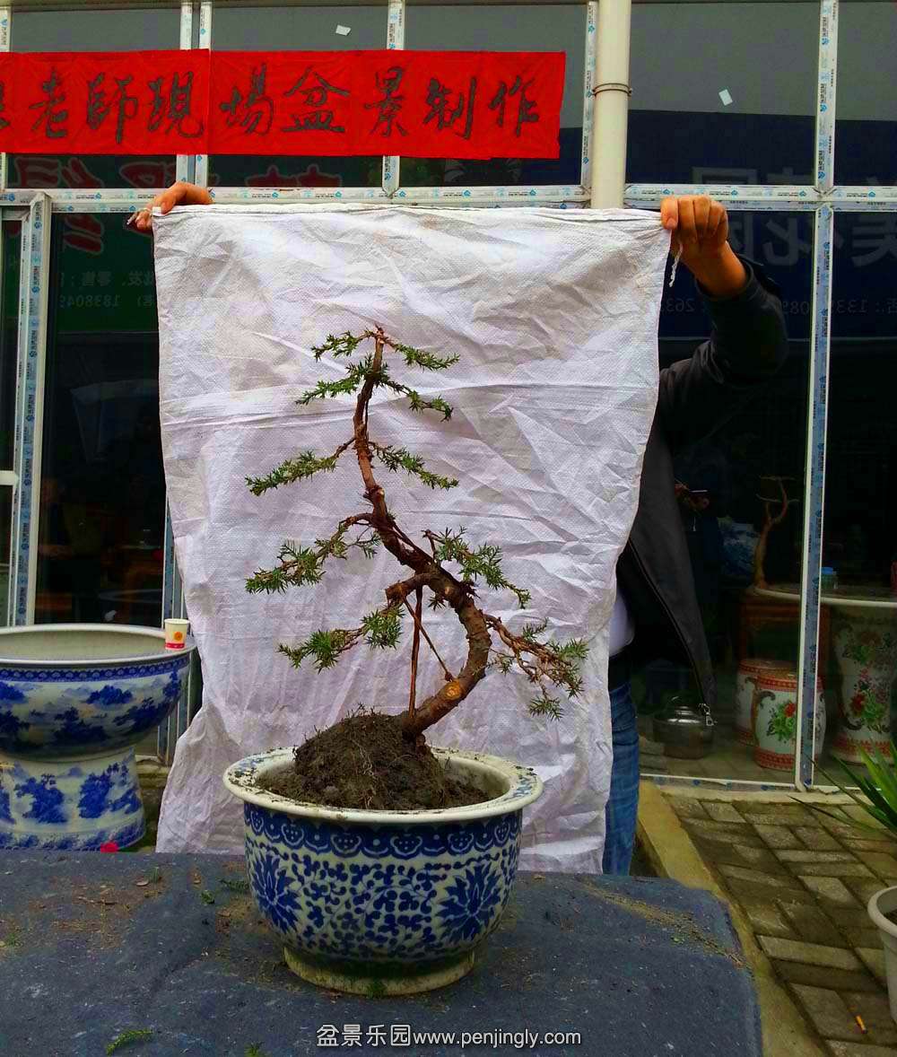 20151121_112323.jpg