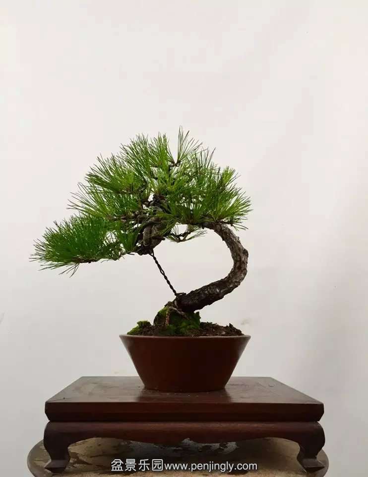 psb (2).jpg