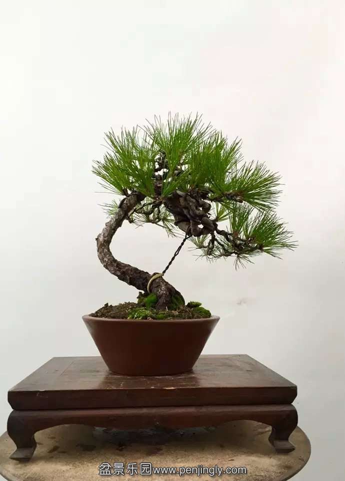 psb (3).jpg