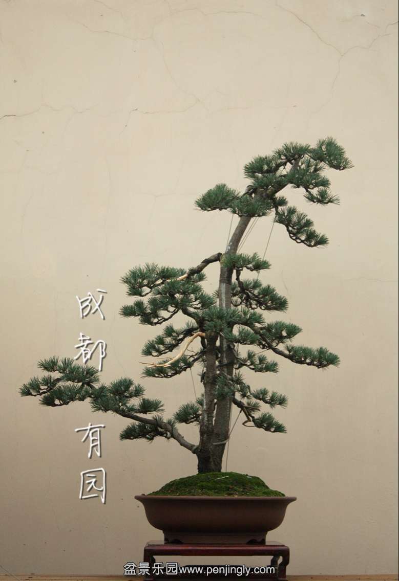 QQͼƬ20151127221301.jpg