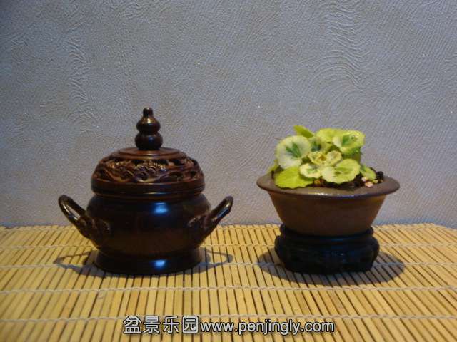 DSC02146.JPG