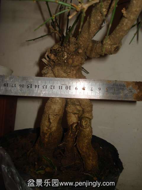 DSC01397_.jpg