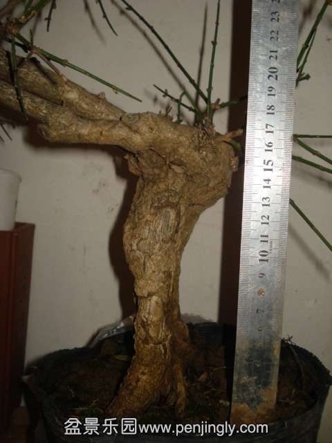 DSC01398_.jpg