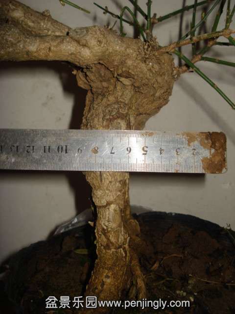 DSC01399_.jpg